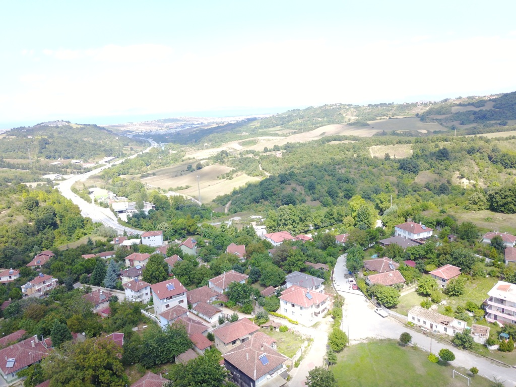  (Şenlikler 2014 - 3)